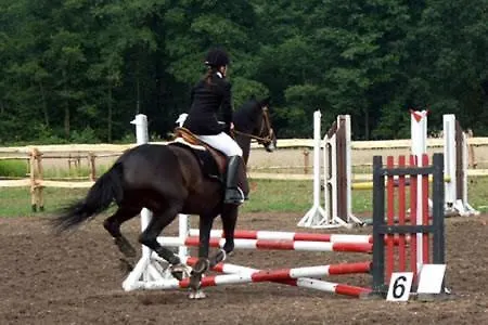 Hotel Palac Borowa (Wroclaw)